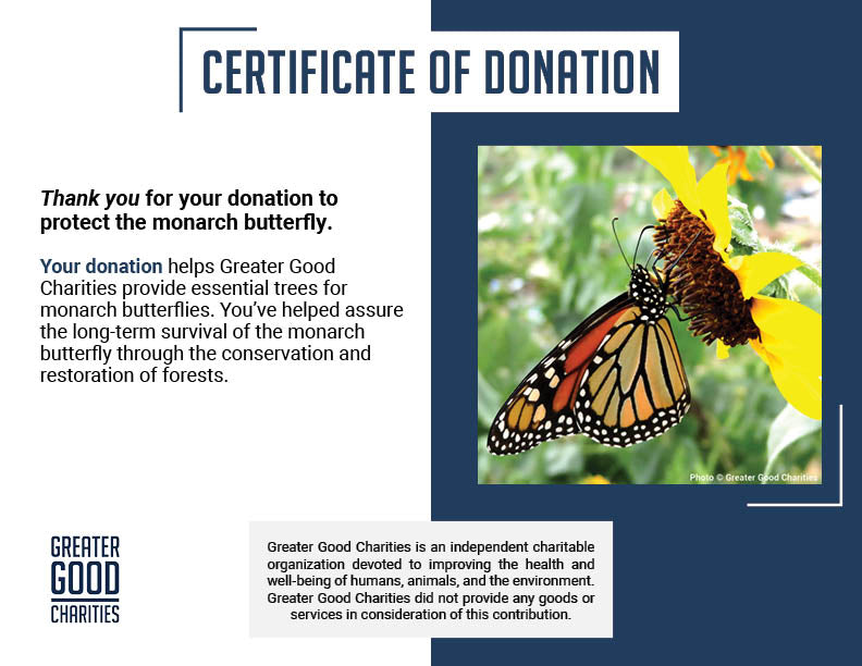 Protect the Monarch Butterfly