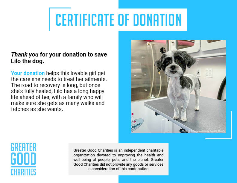 Funded: Lilo is Suffering with Painful Bladder Tear and Needs Life-Saving Procedure