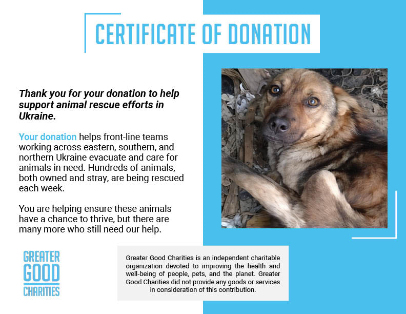 Starving Ukraine Dogs Freed from Heavy Chains Need Emergency Care