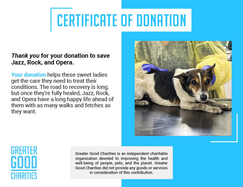 Help Neglected Dogs Jazz, Rock, and Opera Heal in Harmony