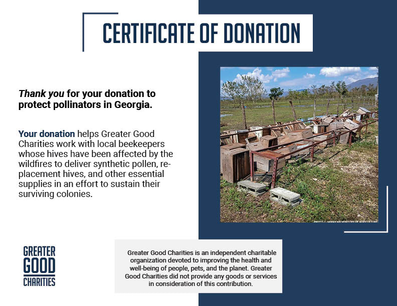 URGENT: Help Feed Starving Bees Affected by Georgia Wildfire
