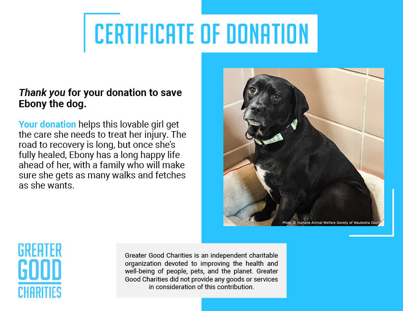 Funded: Ebony Suffers from Untreated Leg Injury and Needs Surgery to Heal