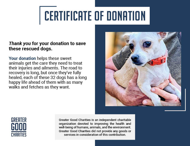 32 Neglected Dogs Rescued from Overcrowded Home Need Emergency Medical Care