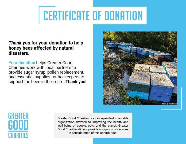 Help Feed Starving Bees