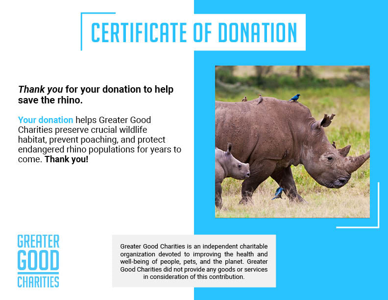 Help Save the Rhino From Extinction
