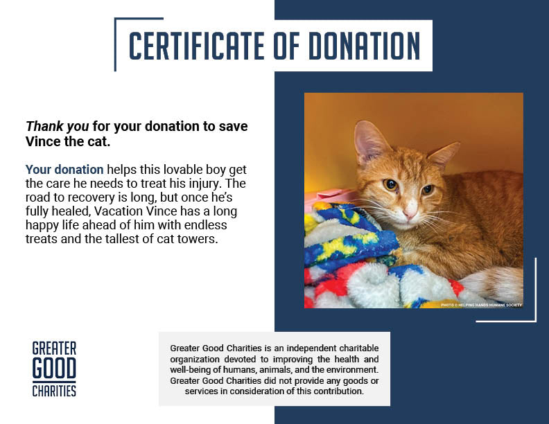 Someone Shot Vince and Stole His Ability to Walk — Help Us Give It Back