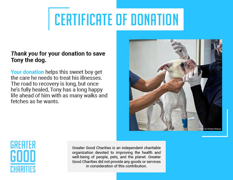 Funded: Save Neglected Dog with Bleeding Mass and Life-Threatening Disease
