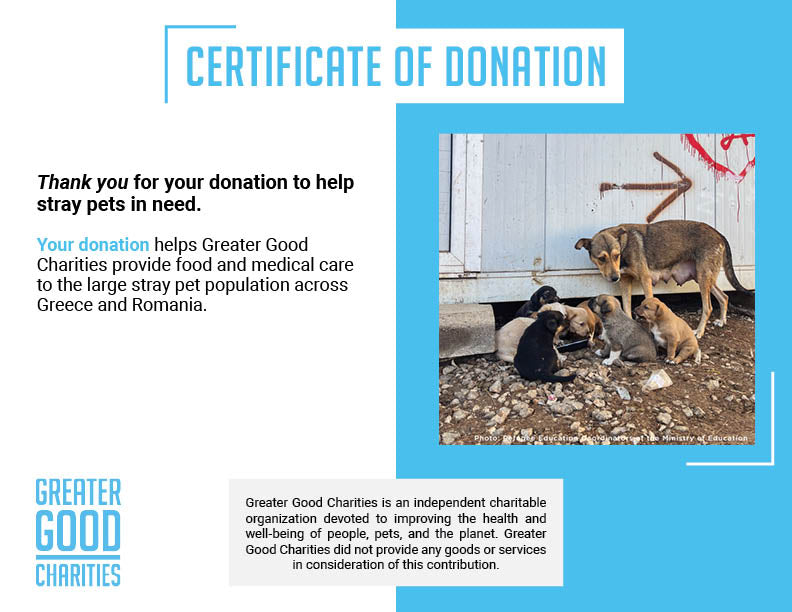 Starving & Injured: Homeless Animals Around the World Need Your Help