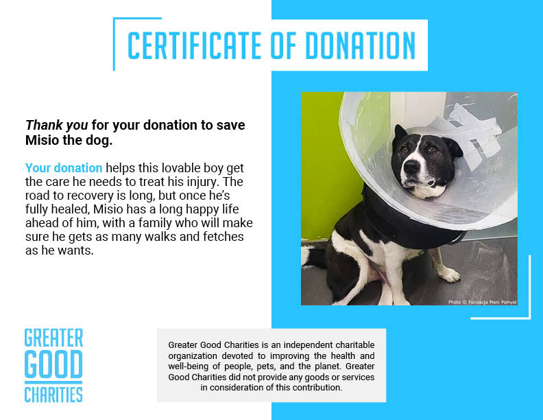 Funded: Ukraine Dog with Untreated Wound Needs Your Help to Heal