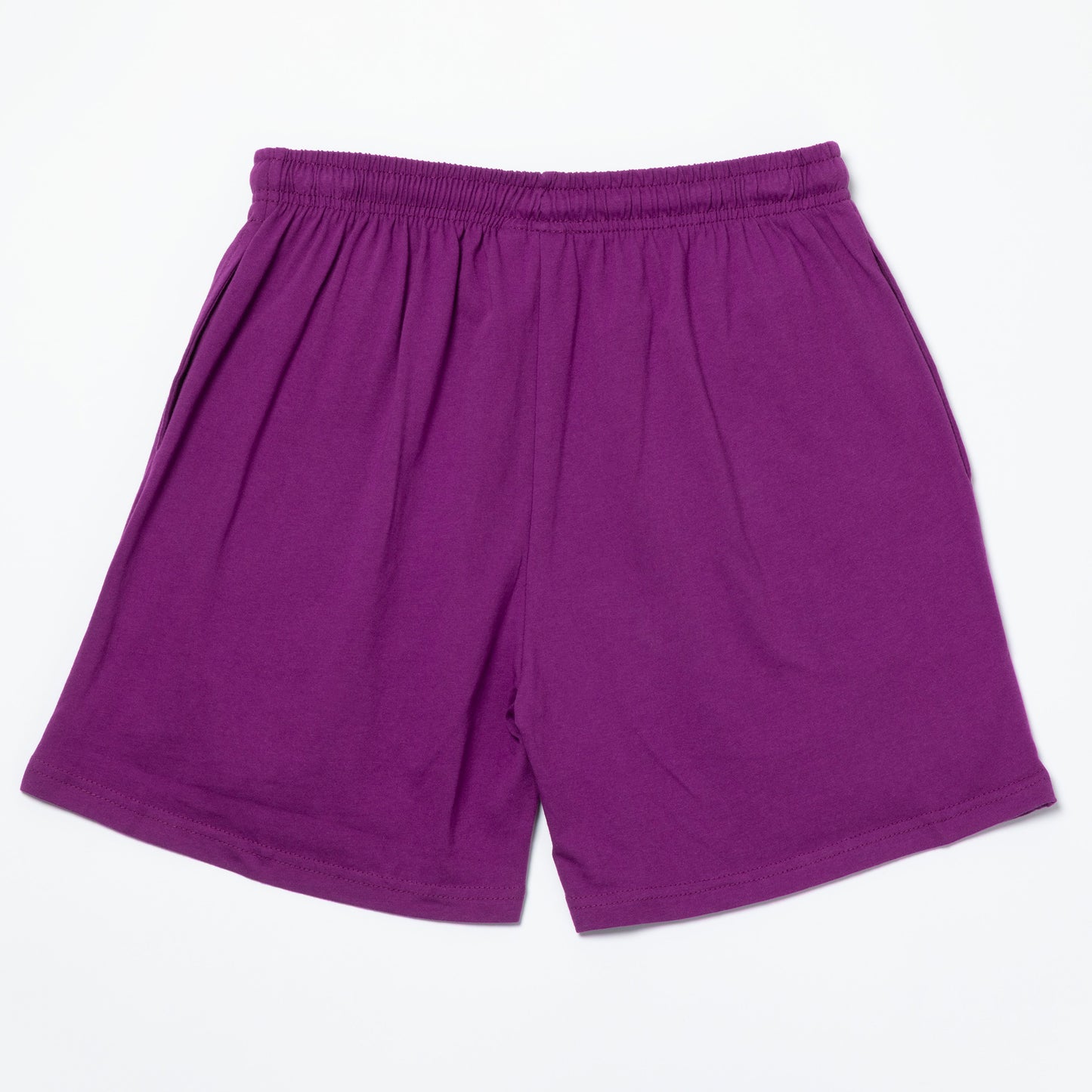 Purple shorts on a white background