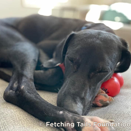 Nourishment Pack to Help Rescue Pets