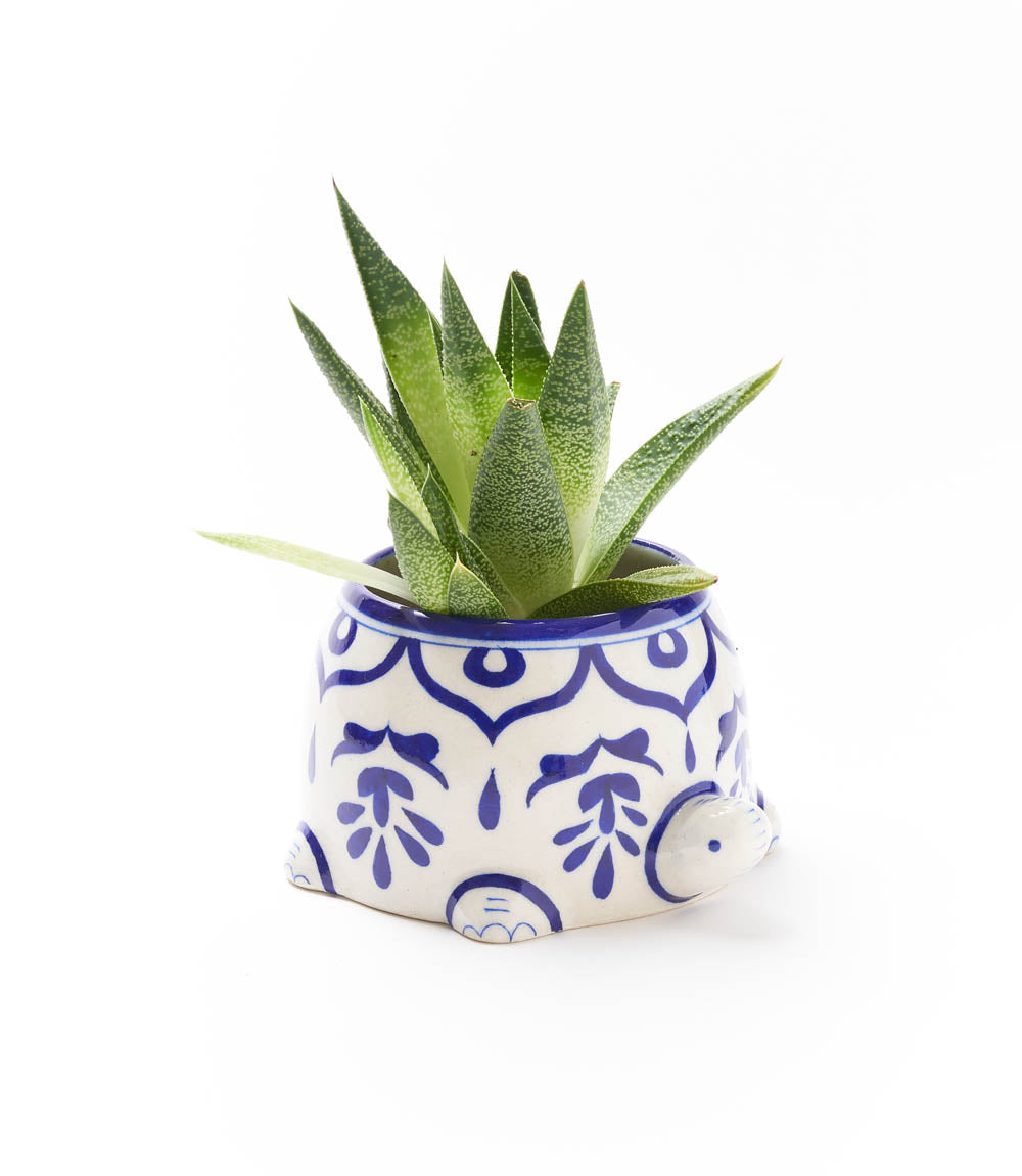 Lalita Indigo Succulent Planter - Mama Turtle