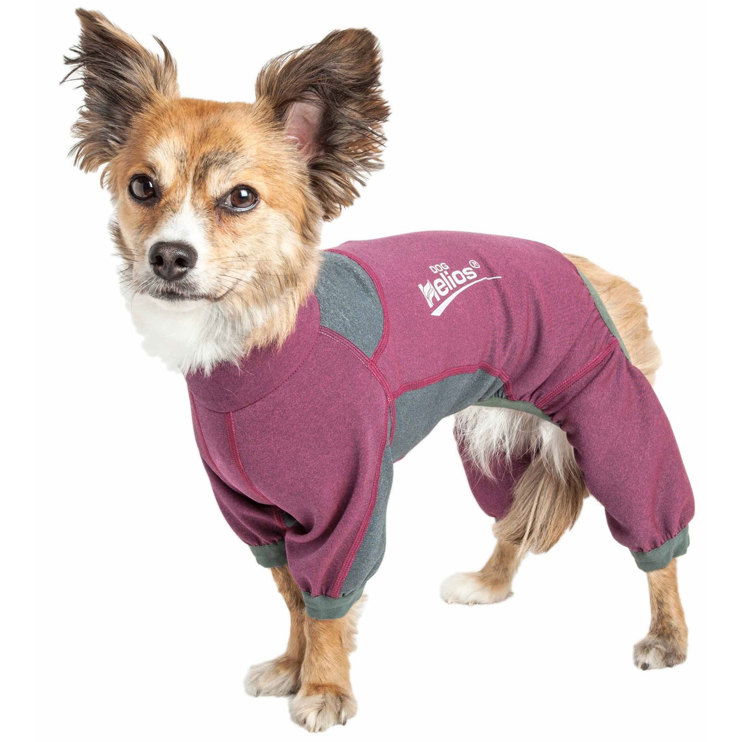 Dog Helios® Rufflex Dog Warmup Track Suit