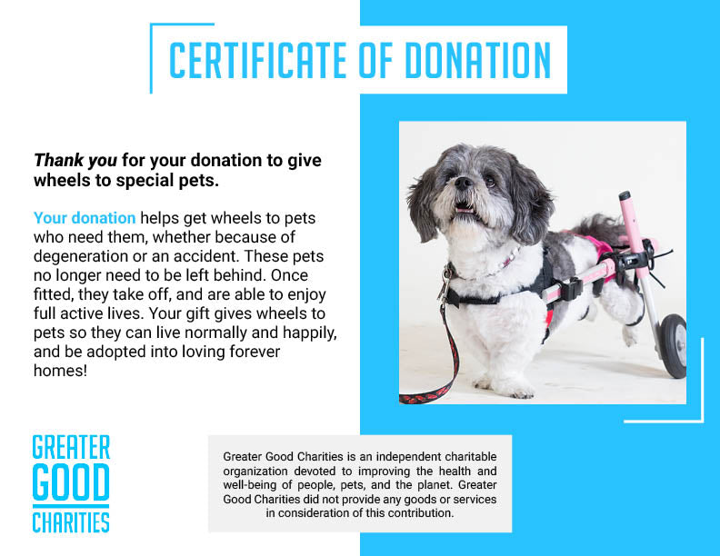 Give Wheels to Special Needs Pets