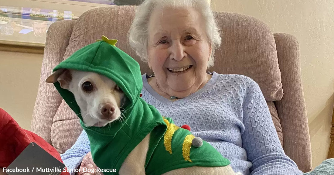 Elderly woman smiles while holding a dog dressed in a green hoodie.