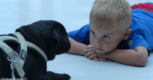 Canines for Kids Program at Children’s Healthcare of Atlanta Makes Life Easier for Patients and Staff