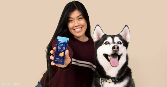Hurry Up: Canine Ambassadors Wanted for Honest Paws Peanut Butter