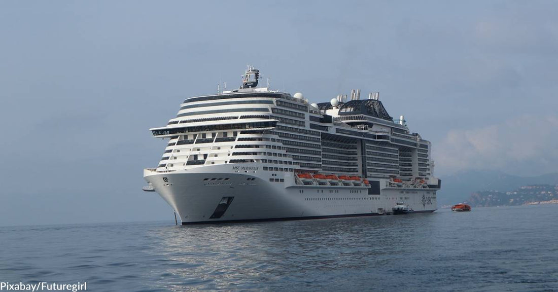 MSC Cruises Creates Training Program in Conjunction with ORCA to Reduce Whale Collisions