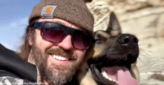 Man Makes Short but Sweet YouTube Video Featuring a List of His Dog's Favorite Things