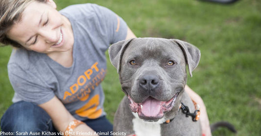 New Arkansas Shelter Takes "Free-Range Approach" to Animal Housing