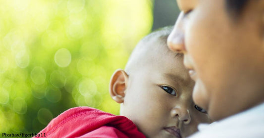 Japanese Study Points to Benefits of Dogs for Children's Wellbeing in Hospital Settings