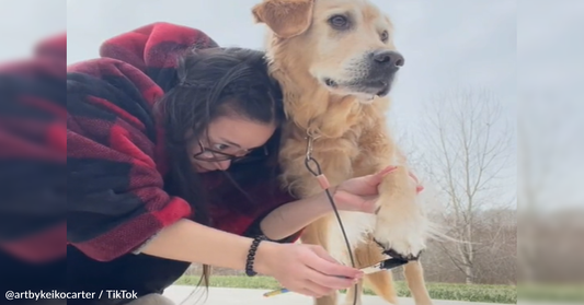 Artist Uses Dog's Paw Print To Create Beautiful Artwork