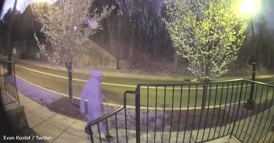 Authorities Ask For Public's Help Catching Man Seen On Camera Abusing Puppy