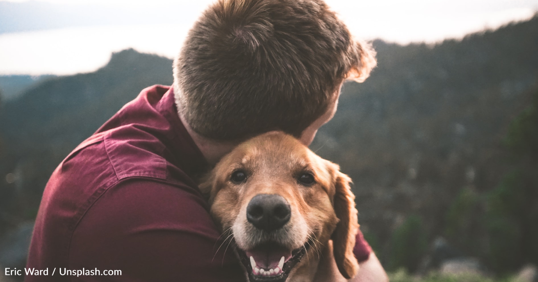 Woman Puts Her Boyfriend's Dog Down Without His Permission