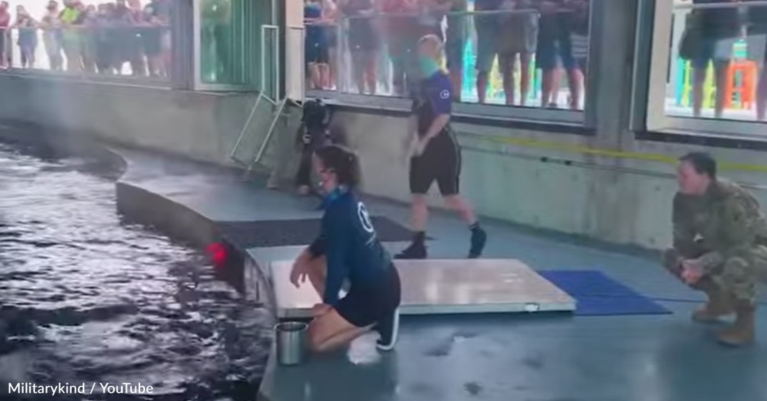 Deployed Dad Surprises Daughter While She's Training Dolphins At Work