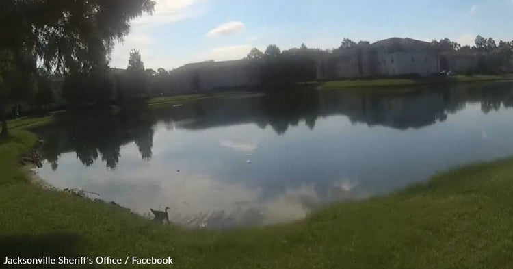 Officer Who Can't Swim Dives Into Lake To Save Drowning Infant ...