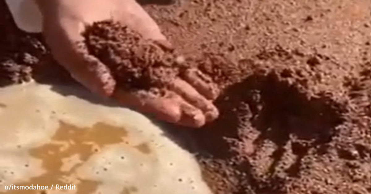 How To Use Desert Sand To Transform Mud Puddle Into Drinking Water ...