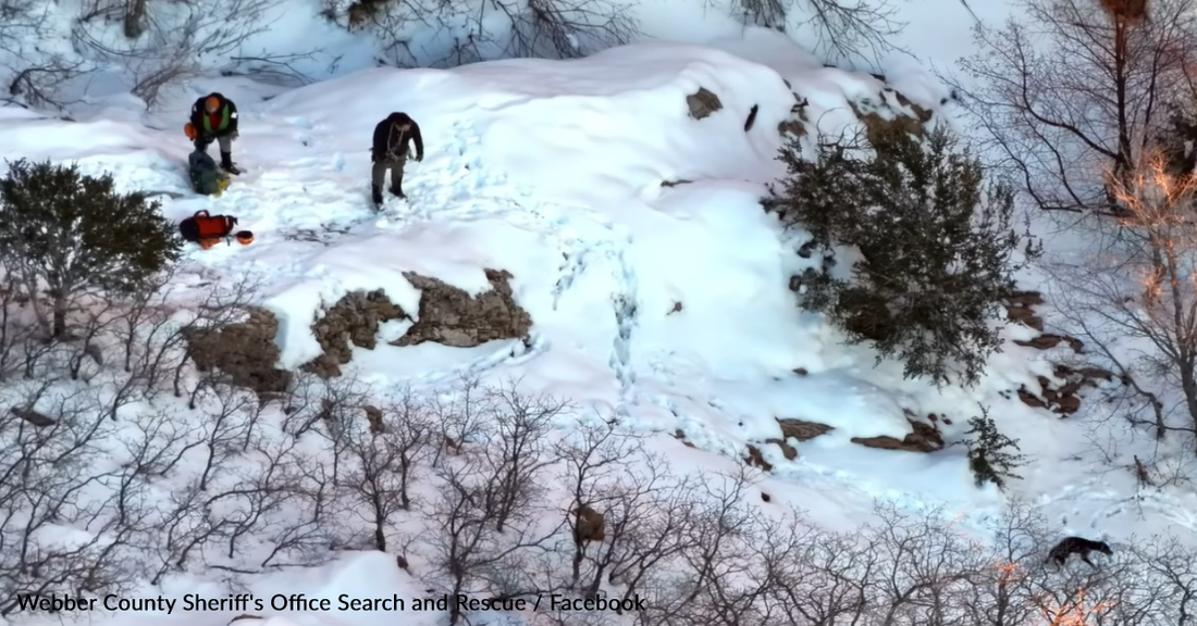 Dog Reunited With Family After Spending Christmas Lost In The Mountains