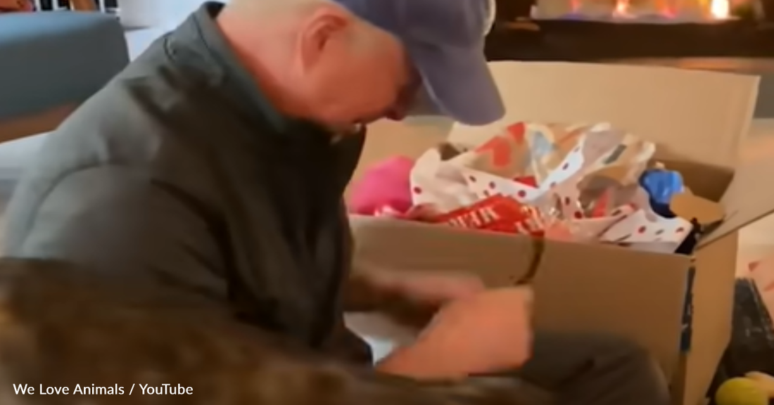 Dad Cries Tears Of Joy When He Realizes He Can Adopt His Foster Dog