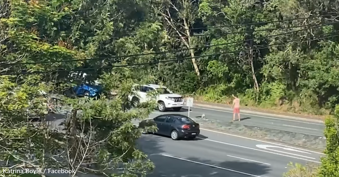 Man Brings Traffic To A Screeching Halt To Escort Koala Across The Road