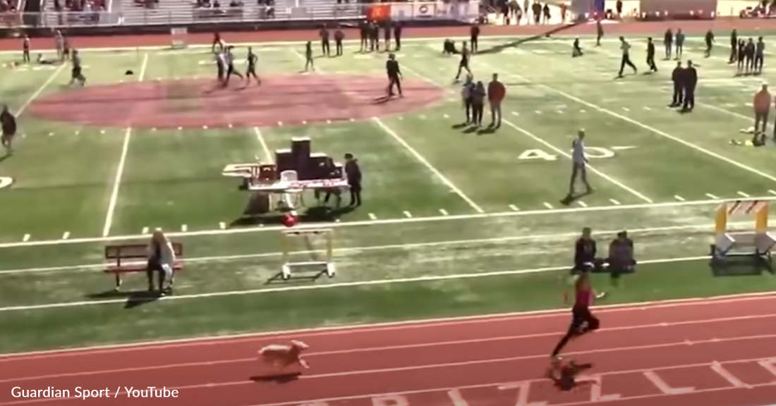 Dog "Wins" High School Relay Race After Breaking Loose And Joining The Meet