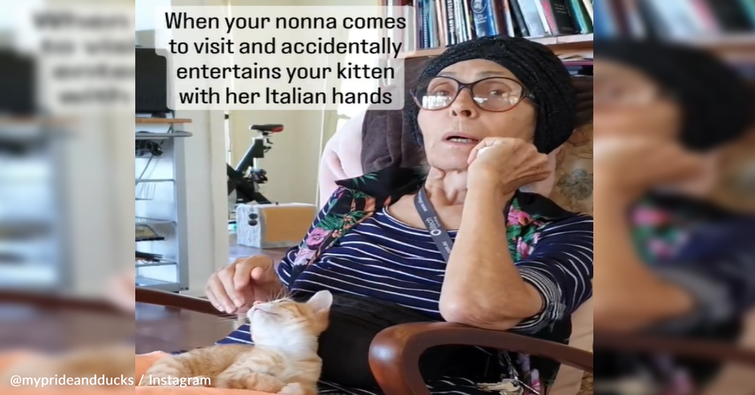 Italian Nonna Mesmerizes Kitten By Talking With Her Hands