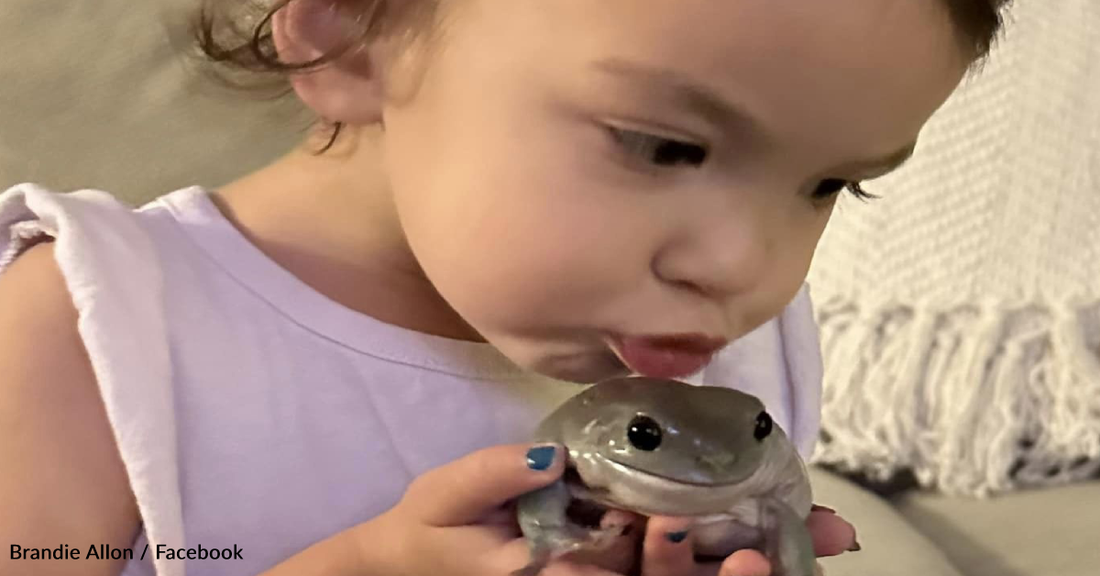 Sweet Toddler Becomes BFFs With A Giant Frog