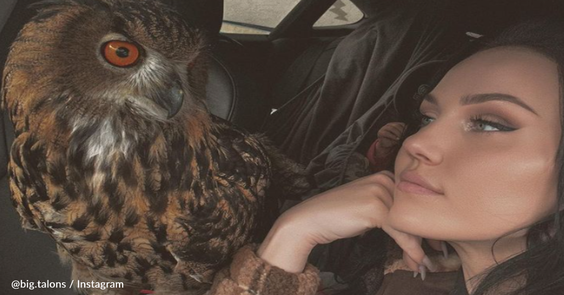 Baby Rescue Owl Goes Everywhere With Her New Family