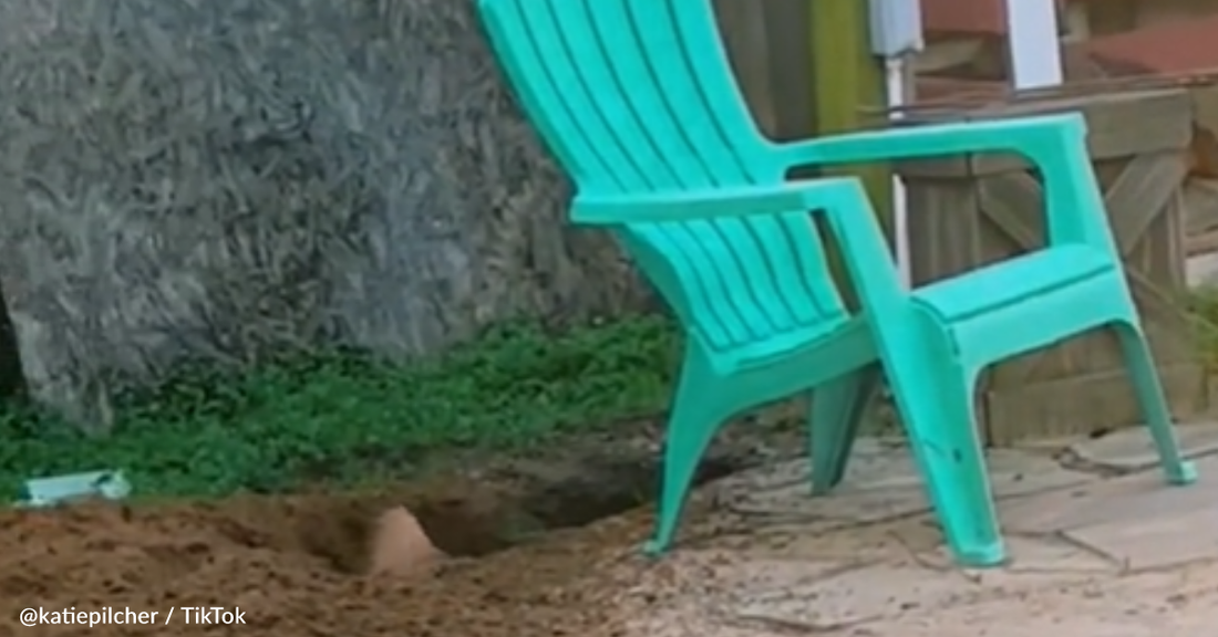 Mom Discovers Golden Retriever Dug Massive Tunnel In The Backyard