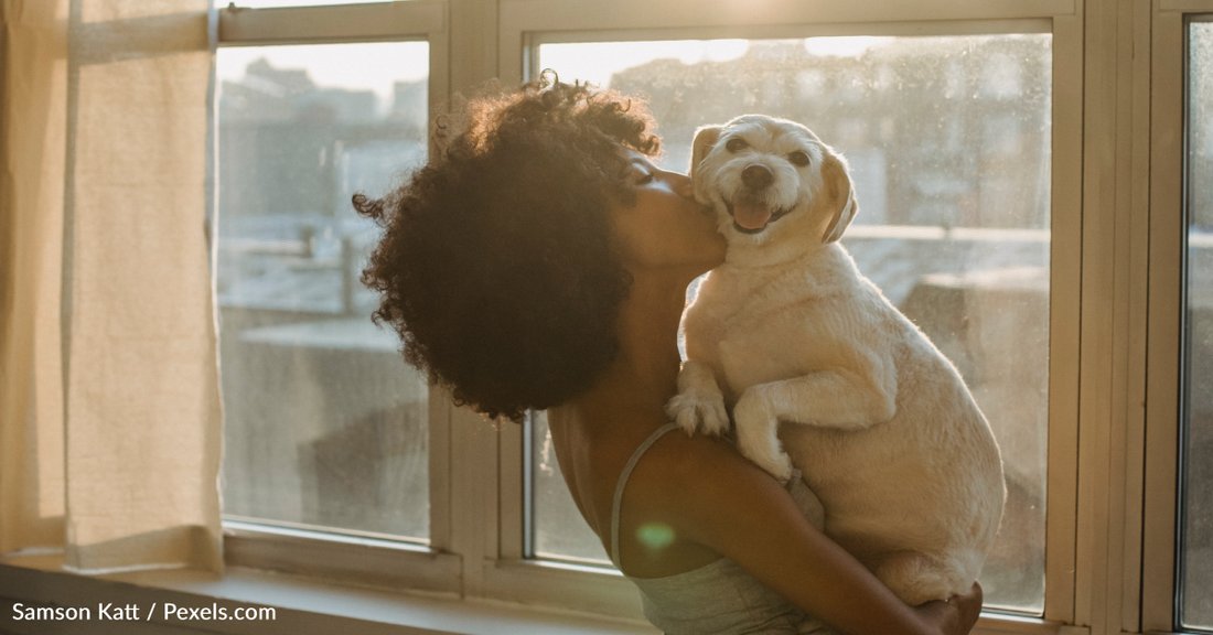 Survey Shows Dog Owners Can Tell Their Pet's Mood Based On Their Behavior