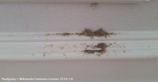 Woman Returns From 5-Day Vacation To Find Mysterious Black Dust Coating Her Bathroom