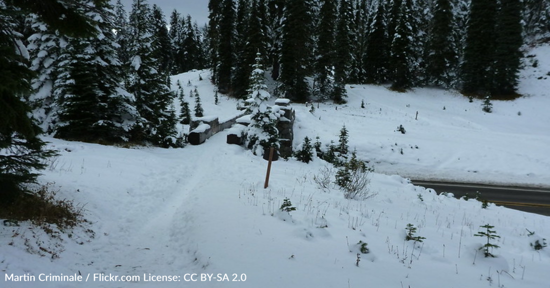 Teens Rescued After Surviving Days In The Woods During California Winter Storm