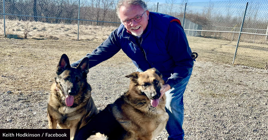 Shelter Puts Out Plea To Find The Perfect Forever Home For Two Bonded German Shepherds