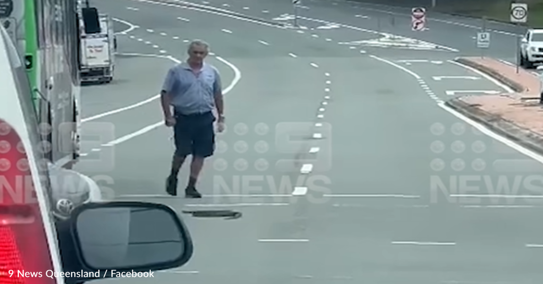 Australian Bus Driver Stops Traffic To Rescue A Snake From Busy Road