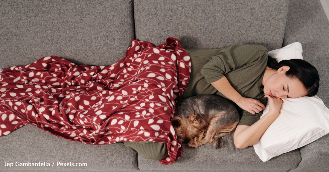 Having Problems Sleeping? Your Pet May Be To Blame