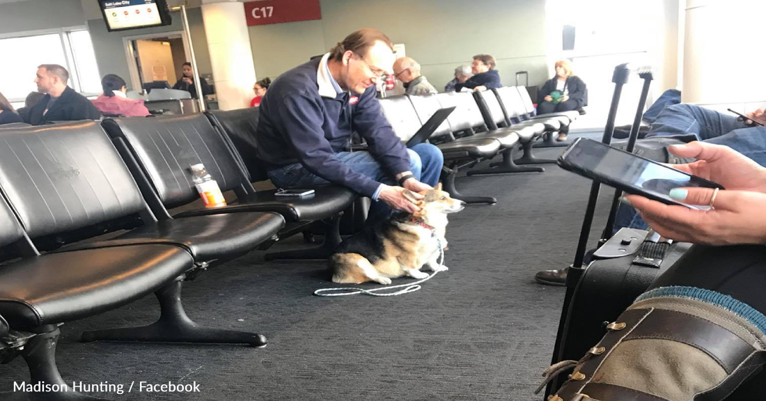 Sweet Corgi Senses Stranger Mourning At The Airport And Offers Some Comfort