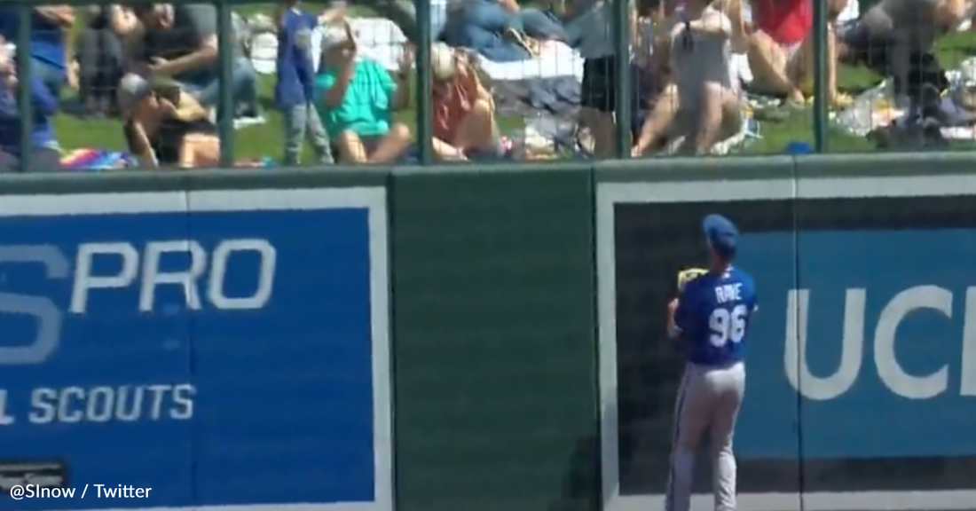 Dog Goes To Spring Training And Catches A Home Run Ball