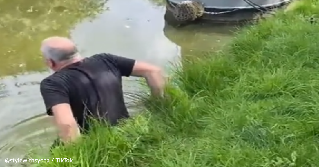 Heroic Man Jumps Into Canal To Save Drowning Baby Fox