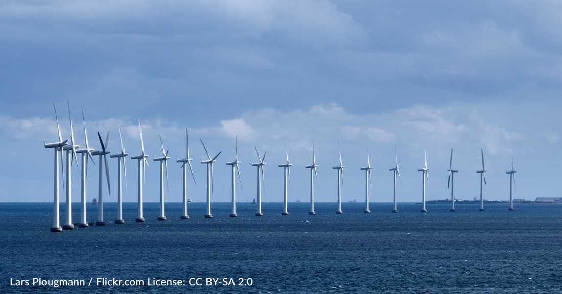 Study Finds Seabirds Are Somehow Avoiding Collisions With Offshore Wind Turbines