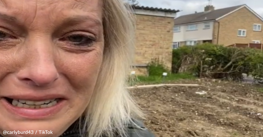 People Rally Together To Help Woman Who Feeds The Hungry After Someone Destroyed Her Garden